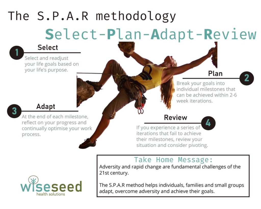 Spar Infographic Web