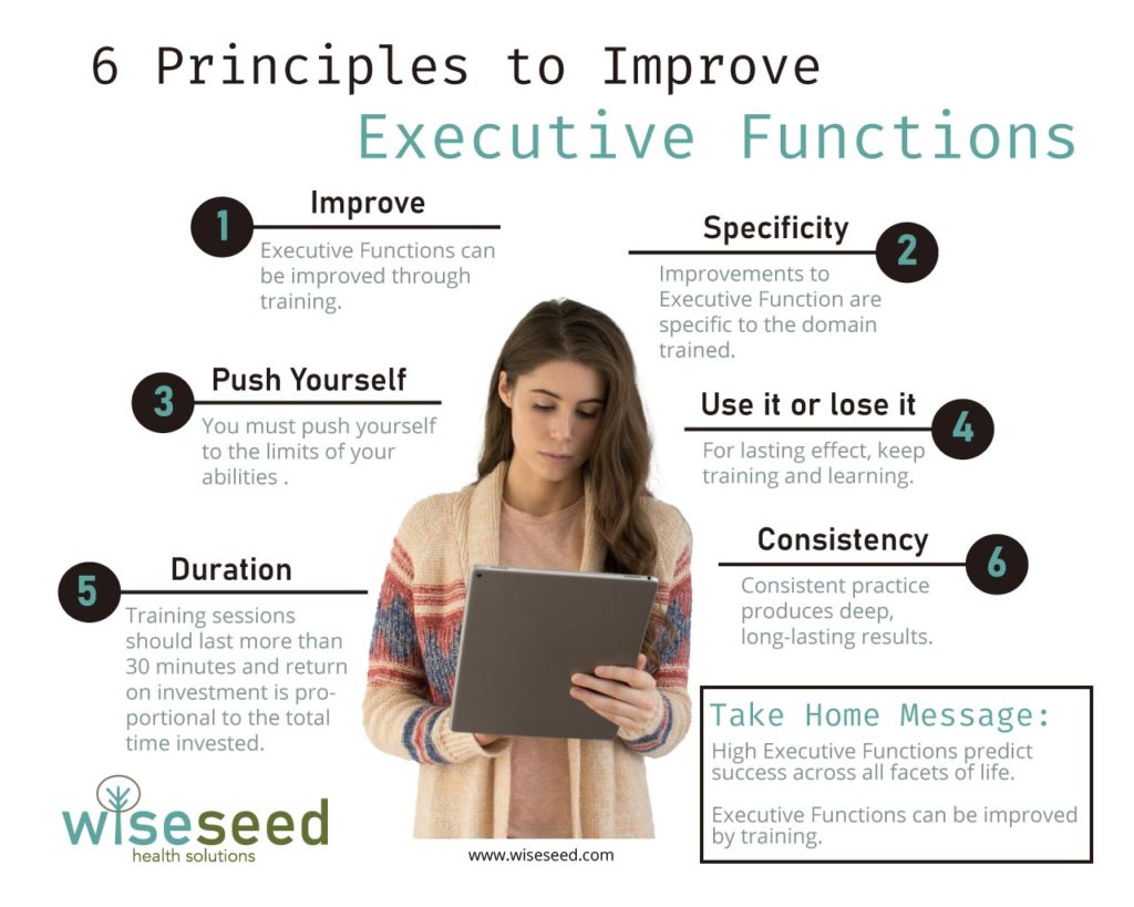 Executive Function Infographic Web