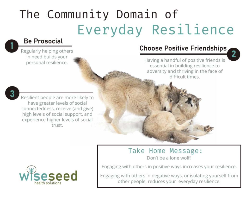 The Community Domain Of Everyday Resilience Infographic