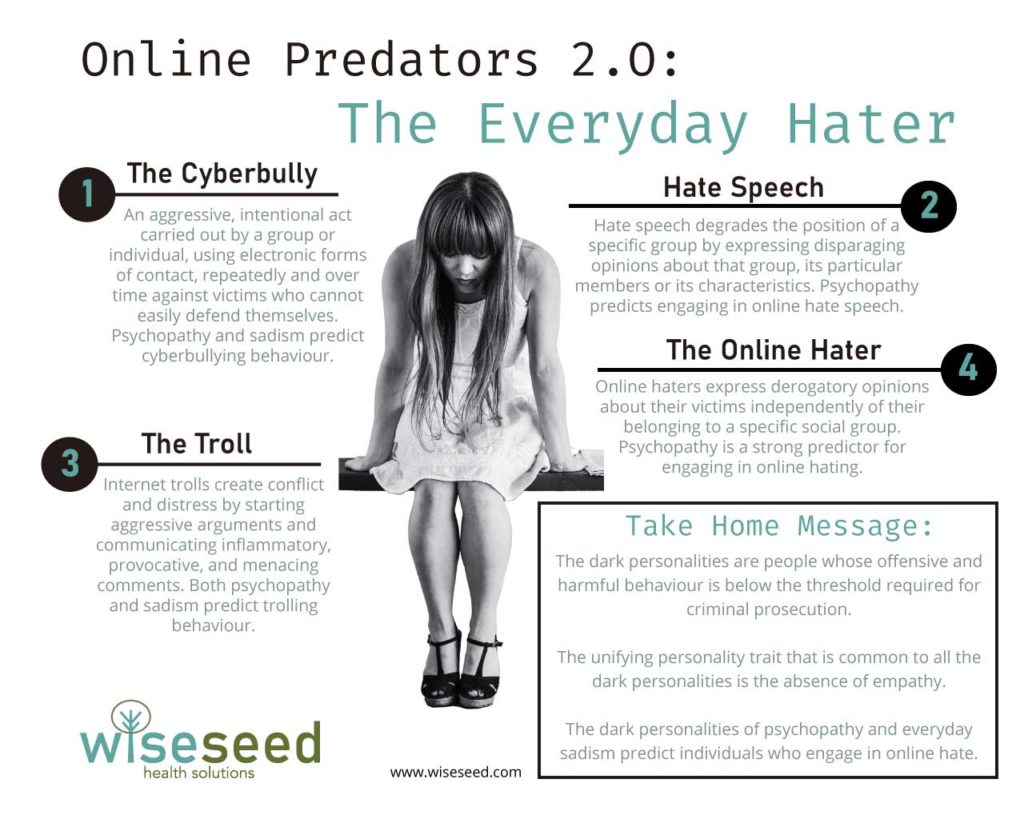 The Everday Hater Infographic Web