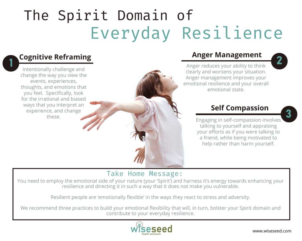 The Spirit Domain Of Everyday Resilience Infographic