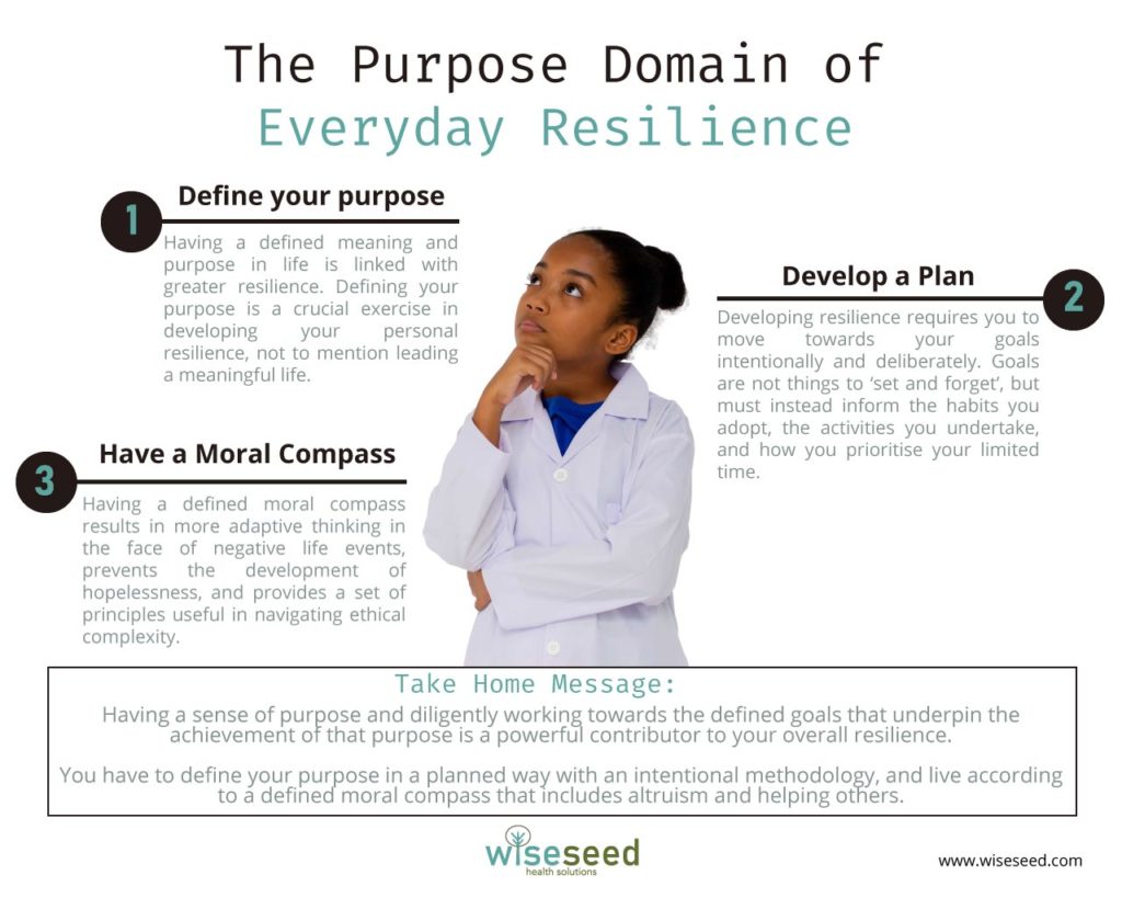 The Purpose Domain Of Everyday Resilience Infographic