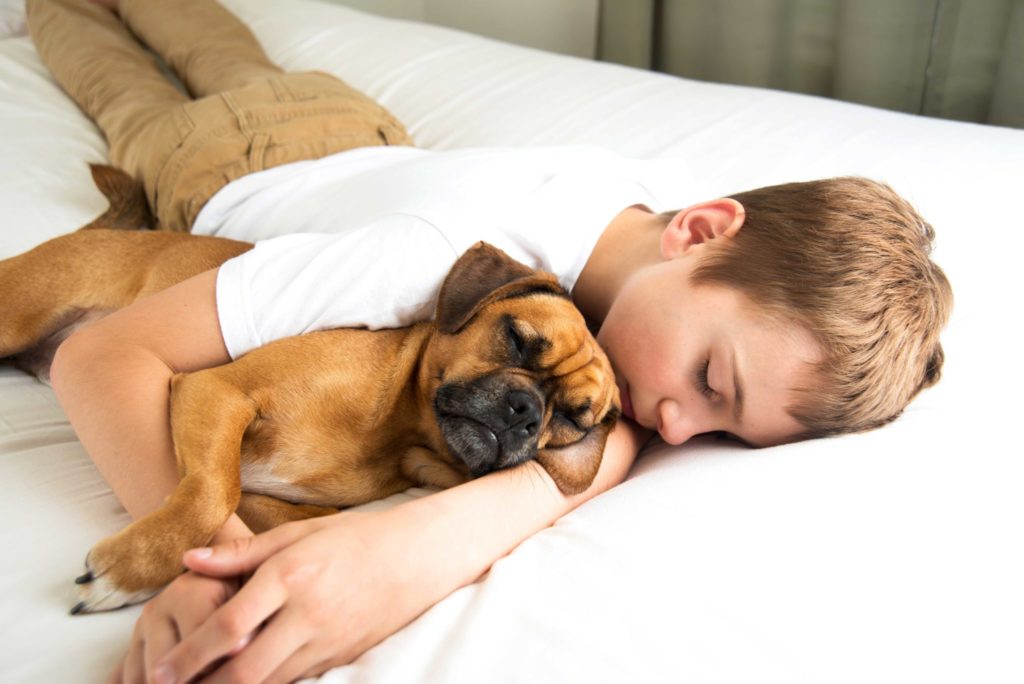 Boy And Dog