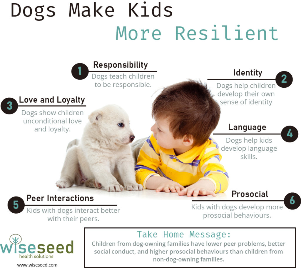 Dogs Kids Infographic