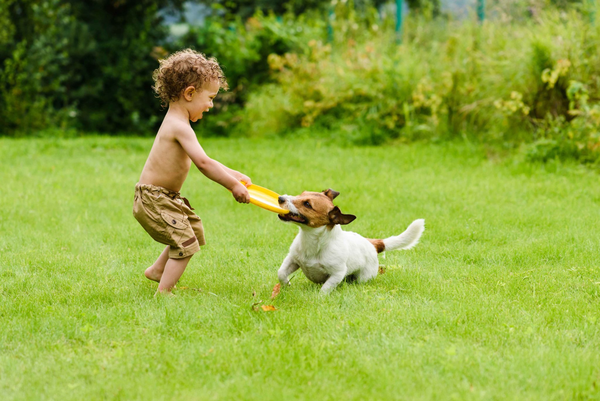 Child Playing With Dog Outside