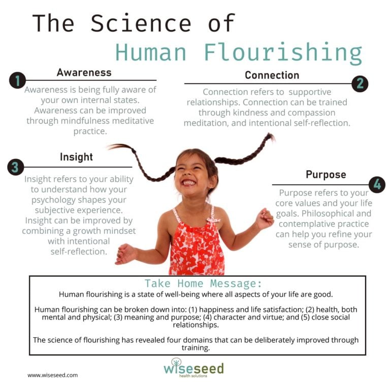 The Science of Human Flourishing WiseSeed Health Solutions