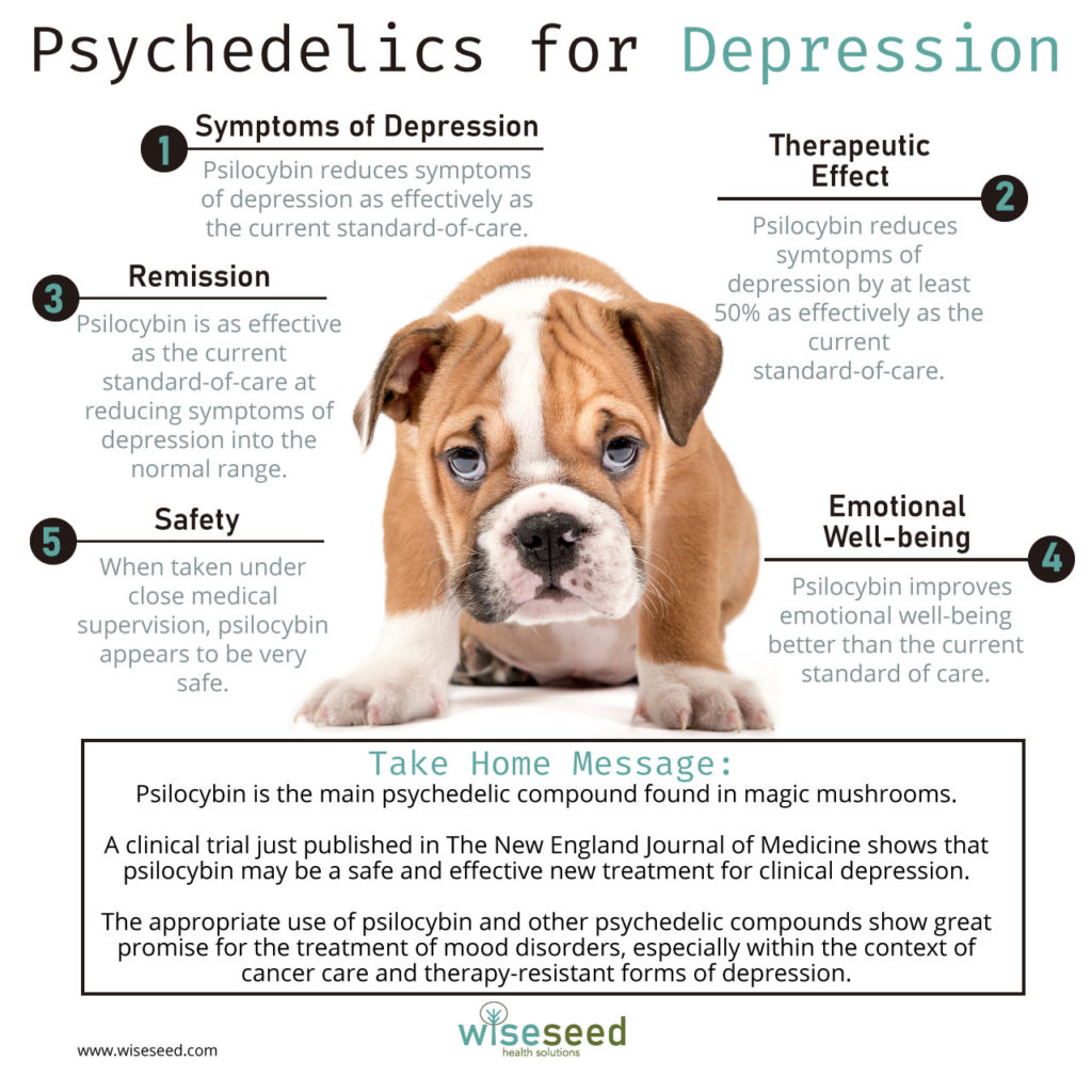 Psychedelics For Depression