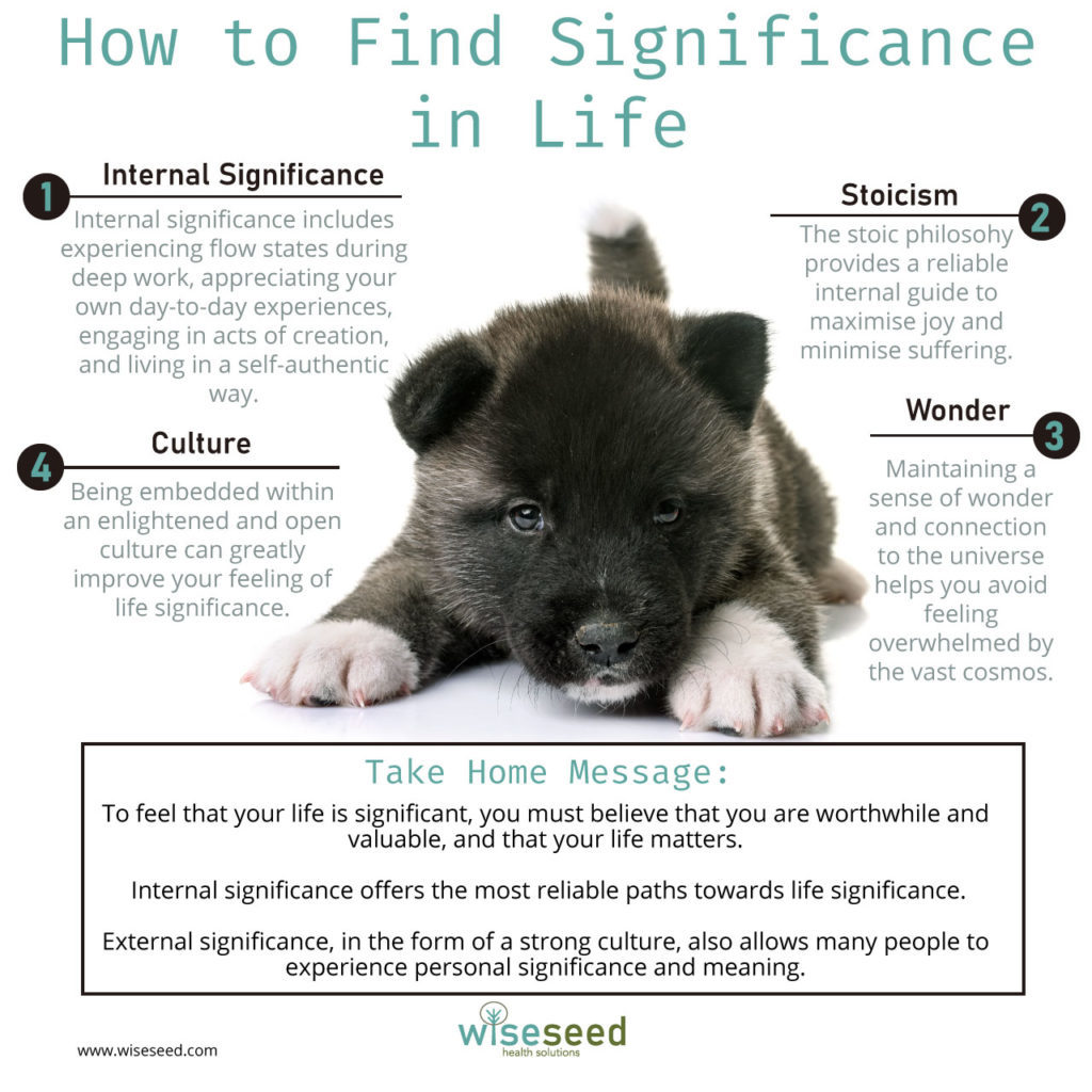 How To Find Significance In Life