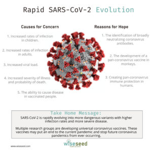 Rapid Sars Cov 2 Evolution 1