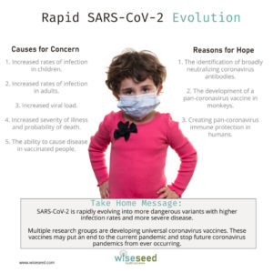Rapid Sars Cov 2 Evolution