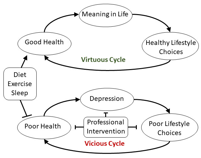 Meaning In Life Virtuous Versus Vicious Cycles