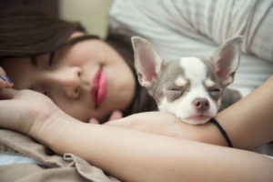 Woman And Cute Dog Sleeping
