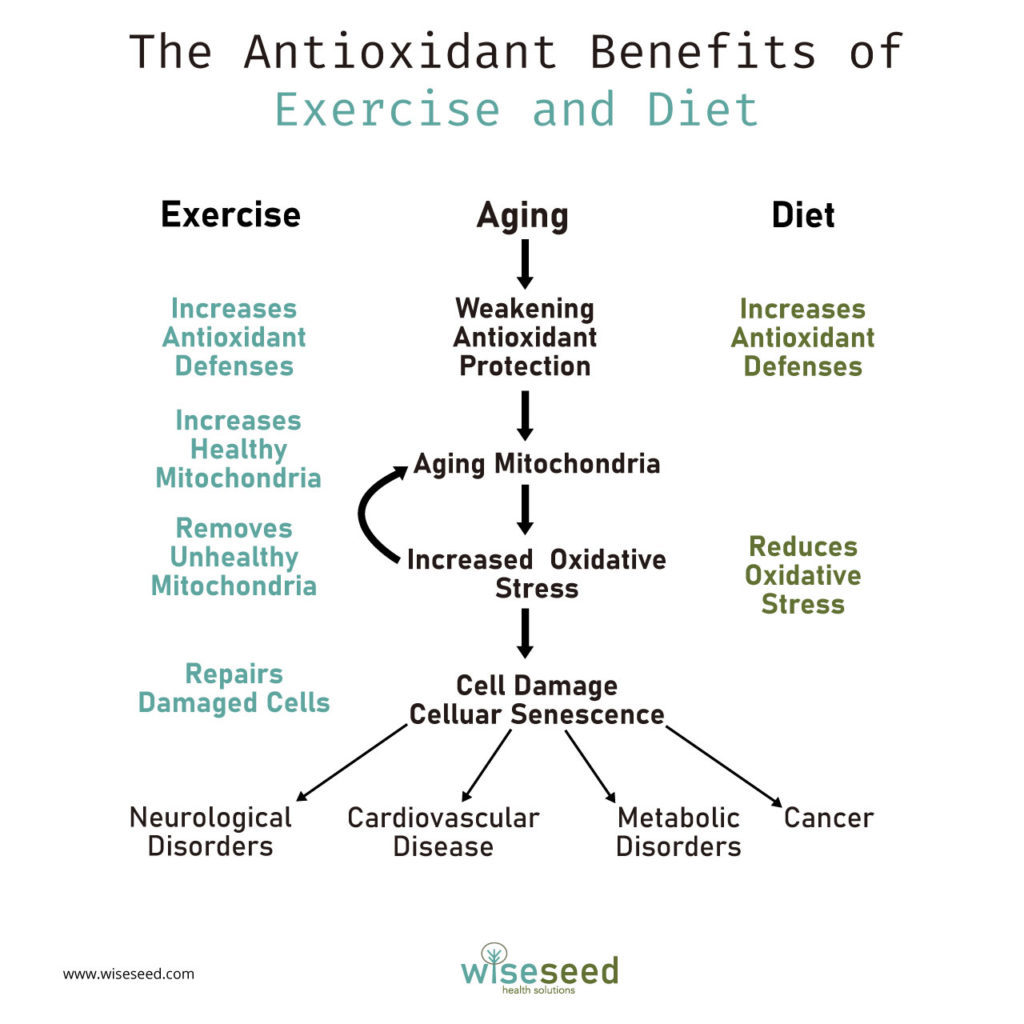 Antioxidant Figure