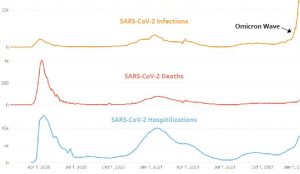 Omicron rates of infection, death rates, and rates of hospitilization