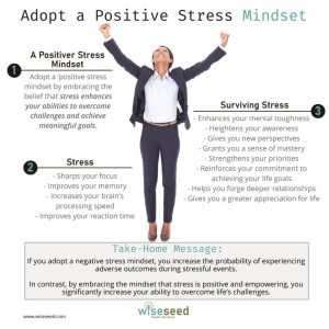 Positive Stress Mindset