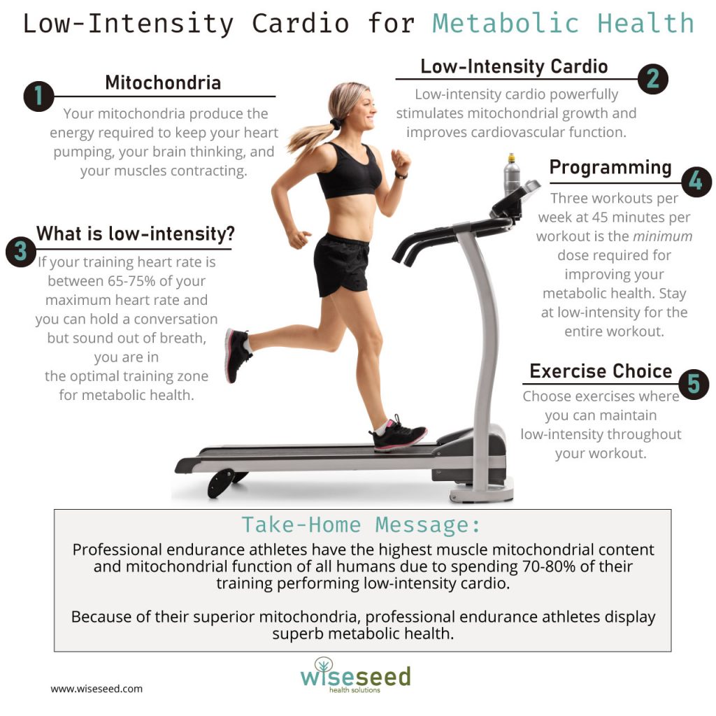 Low Intensity Cardio