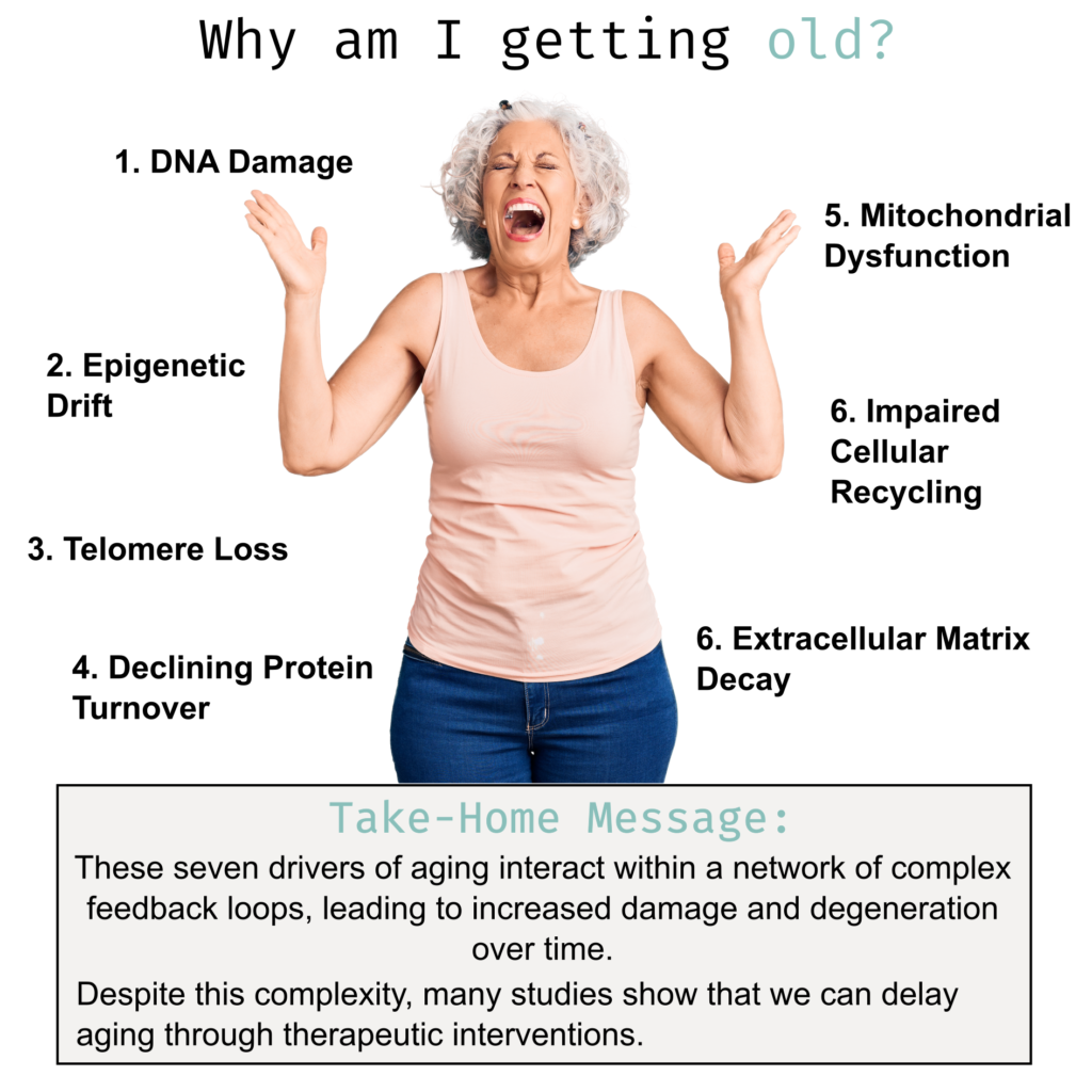 Whyamigettingold Infographic