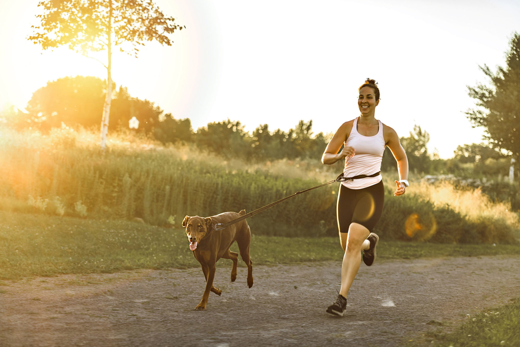 Runner And Dog On Field Under Golden Sunset Sky In Evening Time.